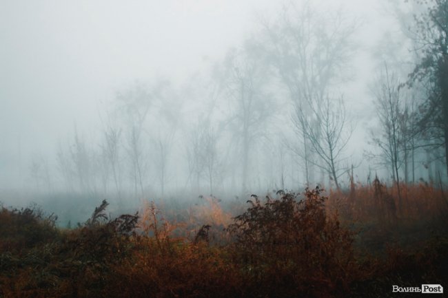 Туманний Луцьк: неймовірні фото 