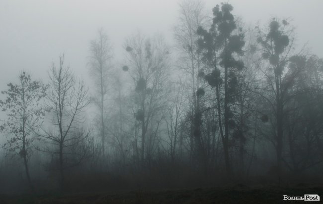 Туманний Луцьк: неймовірні фото 