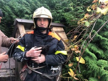 На Волині рятувальники витягнули з 15-метрової криниці кошеня