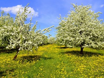 Якою буде погода на Волині завтра, 22 травня