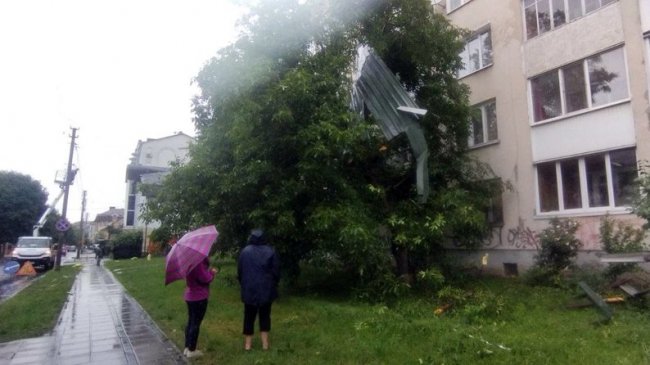 Зірваний дах, пошкоджені ЛЕП, повалені дерева: у Луцьку ліквідовують наслідки негоди. ВІДЕО