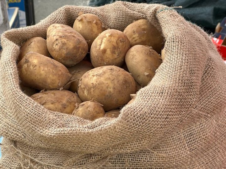 «Планують зібрати 2 тонни»: на Волині жителі села щороку збирають овочі для лікарні. ВІДЕО