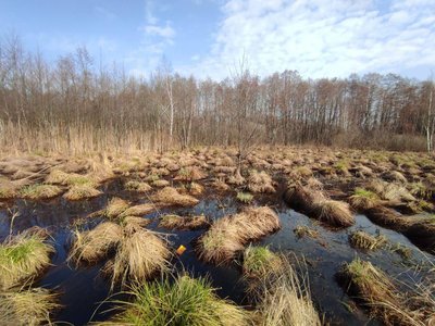 Друзі пройшли поліграф, батько зник на війні: два роки після зникнення студентки Аліни Божко на Волині