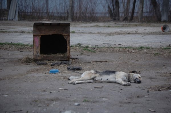 Фотовиставка Ірини Ільчук 