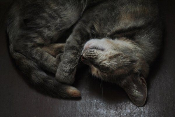 Фотовиставка Ірини Ільчук 