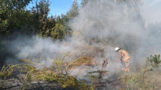 На Волині за минулу добу рятувальники ліквідували 9 пожеж. ФОТО