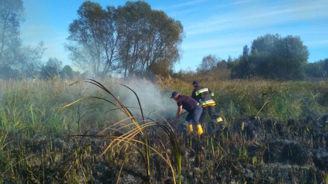 На Волині за минулу добу рятувальники ліквідували 9 пожеж. ФОТО