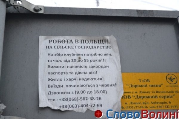 Що таке 'клубніка' і 'візі'? Не кажучи вже про цікаві скорочення)