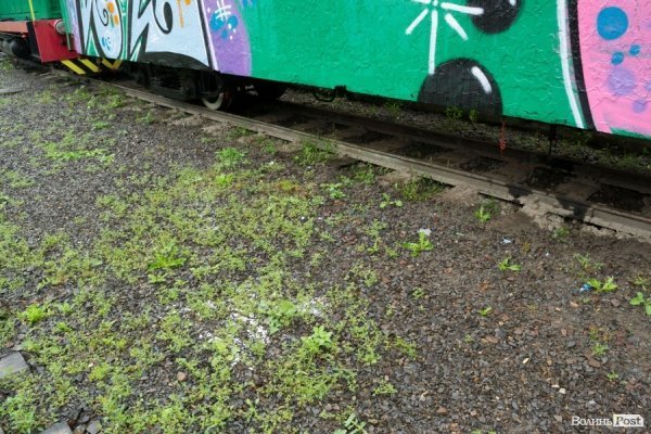 У Луцьку «вандали» розмалювали дитячий поїзд. ФОТО