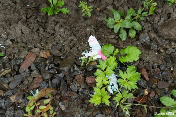 У Луцьку «вандали» розмалювали дитячий поїзд. ФОТО