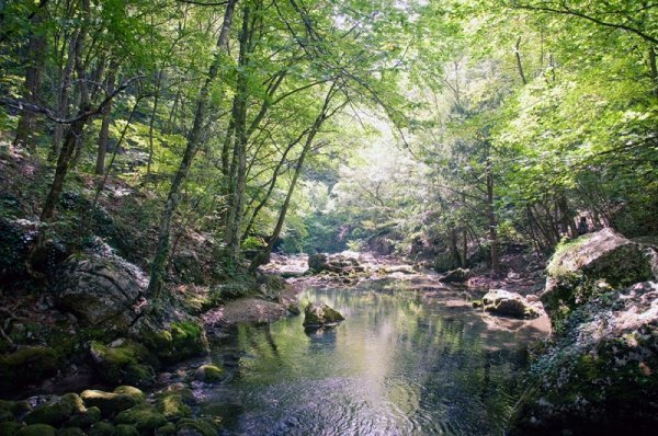 Фотовиставка Олександра Шишкіна