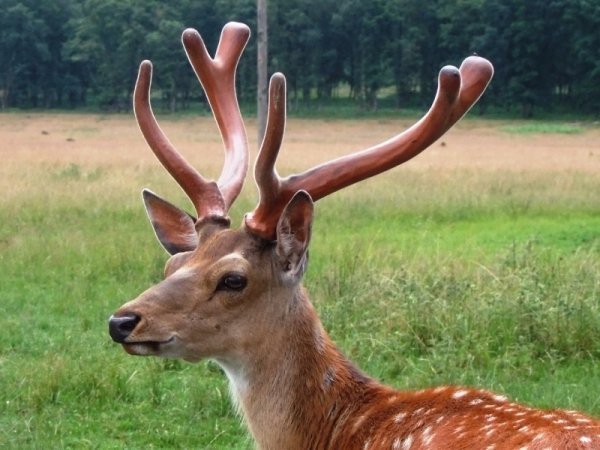 Казкові села Західної України, де варто побувати. ФОТО