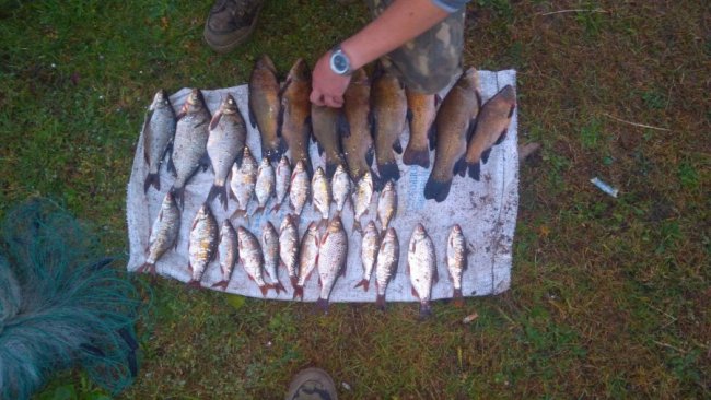 На Волині зловили рибного браконьєра. ФОТО