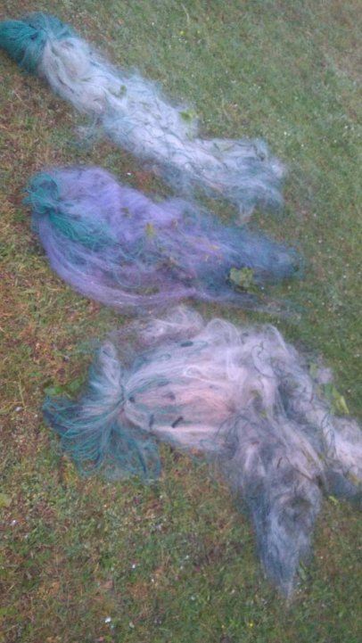 На Волині зловили рибного браконьєра. ФОТО