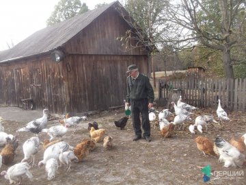 Найстарішому майстру лісу на Волині - 77