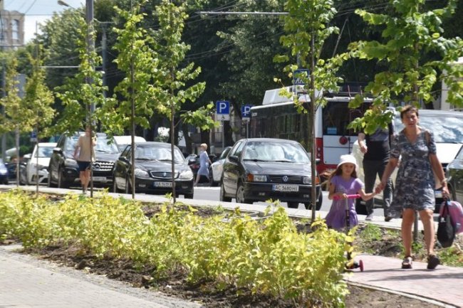 На Волі у Луцьку висадять чотири тисячі кущів