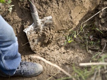 Чоловік убив друга та закопав тіло під шовковицею