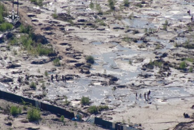 На Рівненщині викрили масштабну схему видобутку бурштину: серед учасників - директор однієї з філій ДП «Ліси України» 