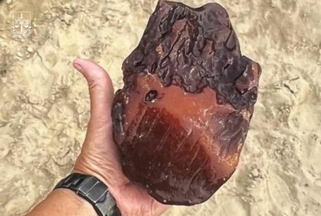 На Рівненщині викрили масштабну схему видобутку бурштину: серед учасників - директор однієї з філій ДП «Ліси України» 