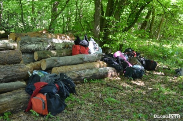 Дві сотні юнаків і дівчат «зникли» у волинських лісах на три дні. ФОТО. ВІДЕО