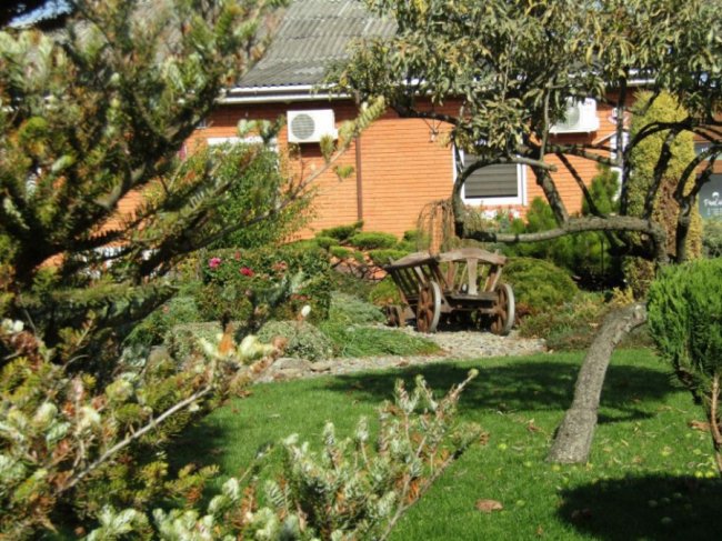 Краса золотої осені у місті на Волині. ФОТО