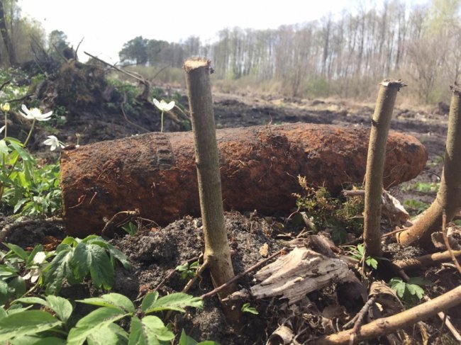 (Не) жіноче ремесло: як дівчина з Волині займається різьбленням по дереву