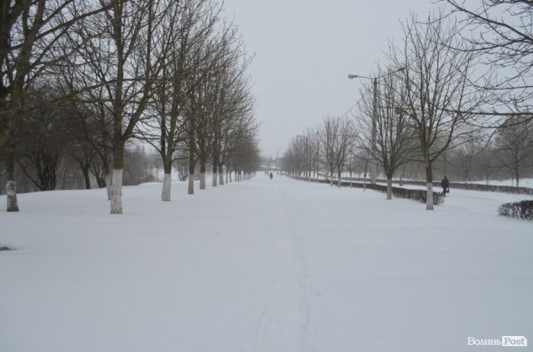 Снігові «страждання» пасажирів Луцька. ФОТО