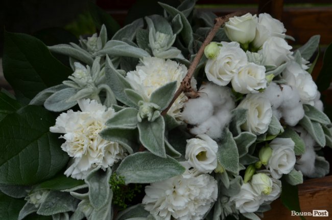 Від мініатюрних тістечок до величезних гойдалок: у центрі Луцька – свято професійної освіти. ФОТО