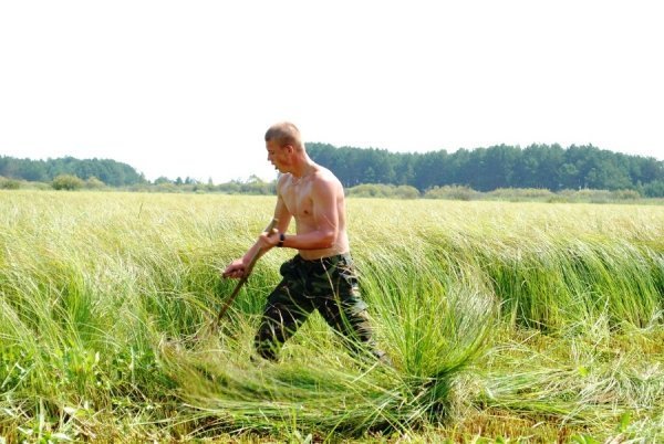 Турнір косарів на Волині. ФОТО. ВІДЕО