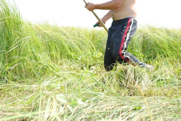 Турнір косарів на Волині. ФОТО. ВІДЕО