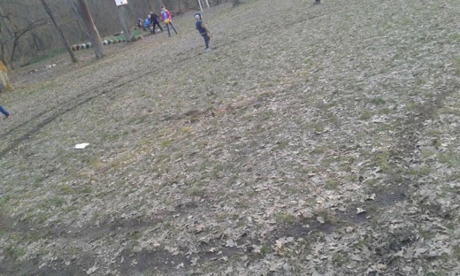 На Волині п’яні молодики на BMW влаштували «ігри», ледь не збивши дитину