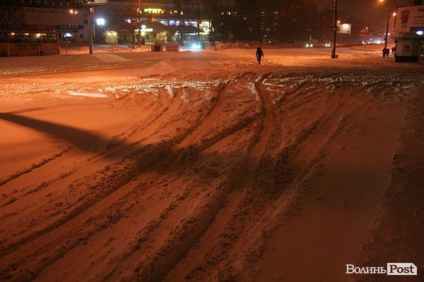 У Луцьку хуртовина ламає дерева і паралізує автотранспорт. ФОТО