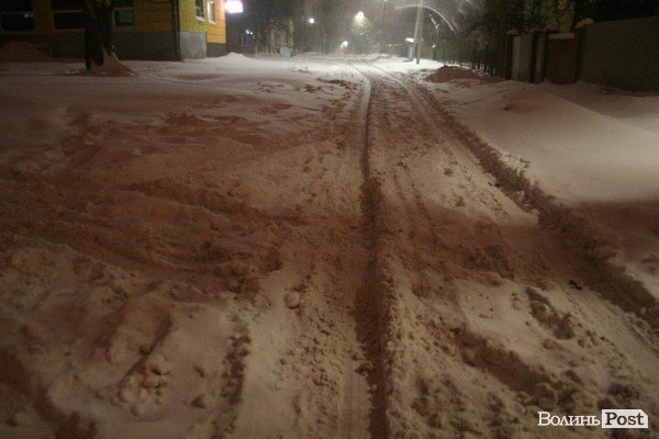 У Луцьку хуртовина ламає дерева і паралізує автотранспорт. ФОТО