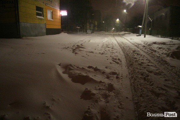 У Луцьку хуртовина ламає дерева і паралізує автотранспорт. ФОТО