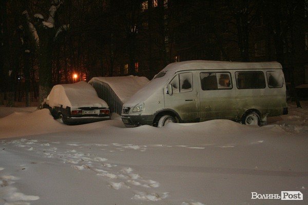 У Луцьку хуртовина ламає дерева і паралізує автотранспорт. ФОТО