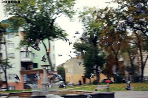 Фотовиставка Олександри Містюк