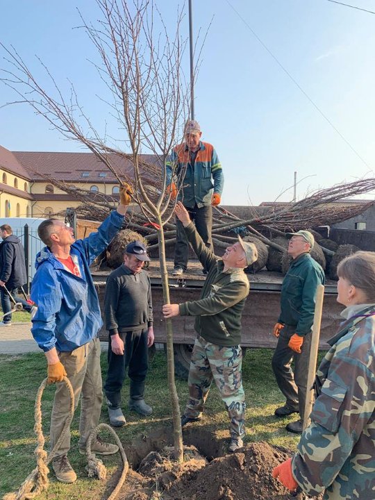 «Усе має бути красиво»: як луцький депутат зі школярами дерева садив. ФОТО