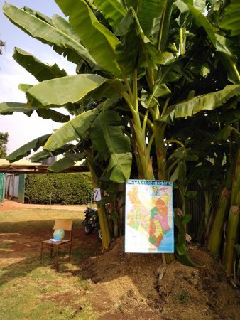 Місія (не) здійсненна:  лучани працювали у Африці з вуличними дітьми