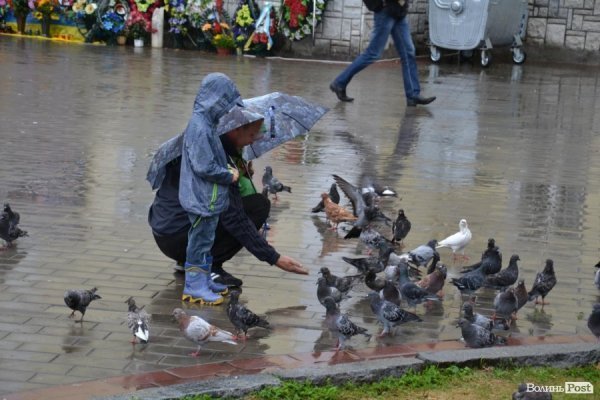 У Луцьку відзначають «дощовий» День Незалежності. ФОТО