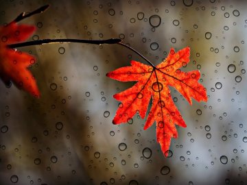 Якою буде погода в Україні та у Луцьку зокрема у понеділок, 22 листопада