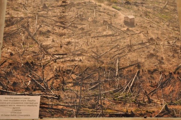 Фото героїв інтернету з Луцька ‒ учасник міжнародної екокампанії