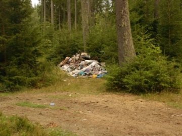 Стихійне сміттєзвалище біля Луцька ліквідували комунальники