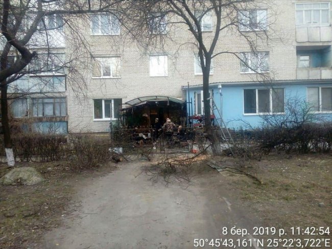 У Луцьку покарали чоловіка, який самовільно спилював дерева. ФОТО