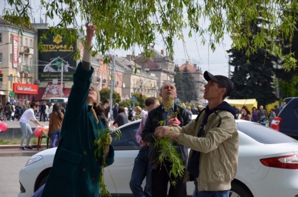У Луцьку прихожани хотіли зекономити на вербі. ФОТО