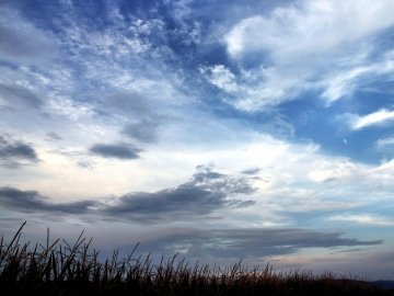 Погода в Луцьку та Волинській області на п’ятницю, 2 вересня