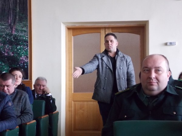 На Волині ринок деревини потребує захисту. ФОТО