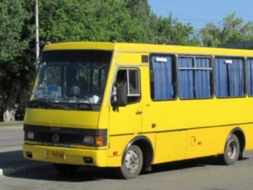 У Луцьку просять проїзні квитки на всі види громадського транспорту