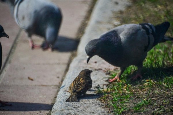 Фото: Олег Гордон