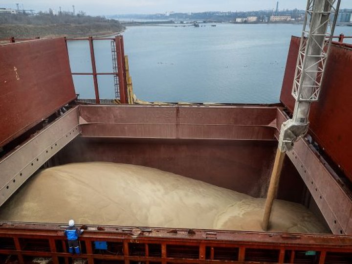 Експорт зерна з України критично скоротиться через удари РФ по портах