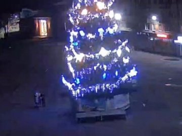 На Волині молодик виліз на головну ялинку міста. ВІДЕО